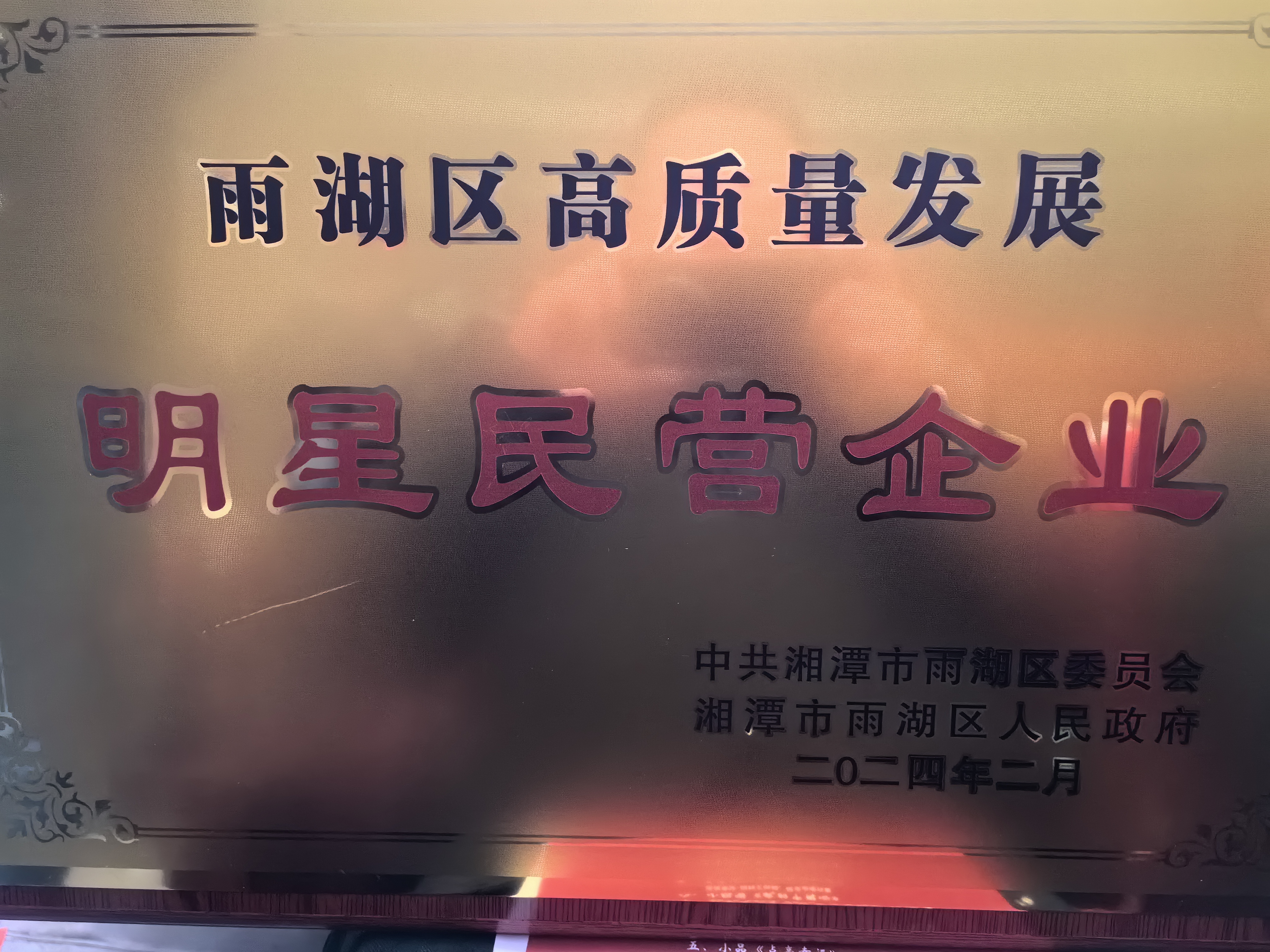 千亿在线登录荣获“雨湖区高质量发展明星民营企业”称号